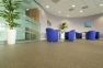 Лінолеум SureStep Star (ШурСтеп Стар) Forbo - Фото 16