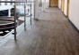 Линолеум SureStep Wood (ШурСтеп Вуд)  Forbo - Фото 12