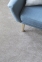 Ковролин Ultrasoft (Ультрасофт) Balsan - Фото 28