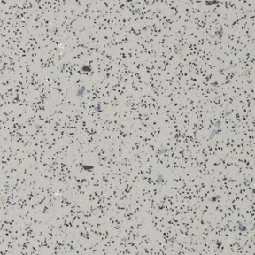 Лінолеум SafeStep R12 (СейфСтеп R12) Forbo - Фото 1