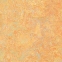  Линолеум Marmoleum Vivace (Мармолеум Вивач) Forbo - Фото 5